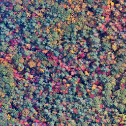 New Hampshire Fall Foliage
