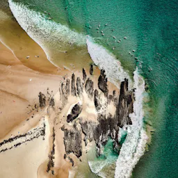 Gold Coast Surfers