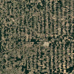 Brazil Deforestation 